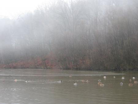 il fait du brouillard, mais nous sommes au lac , car j'avais besoin de détente.