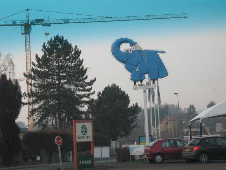 en nous raccompagnant Florian a eu une idée...  le petit éléphant pourrait laver les chiennes.... à étudier...