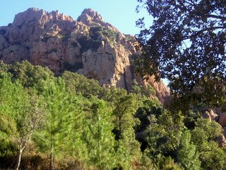 ENCORE UNE PHOTO DE L 'ESTEREL A  1KM D'AGAY pour choupette