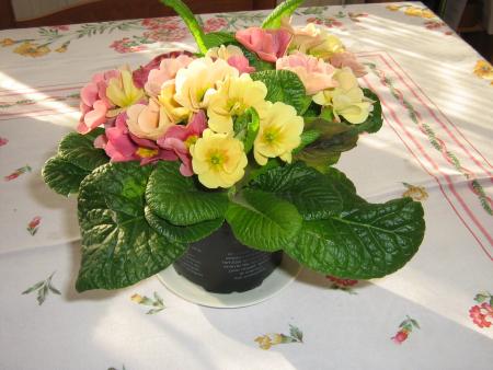 pour tous ceux et celles qui  viennent sur mon blog avec mes grosses léchettes