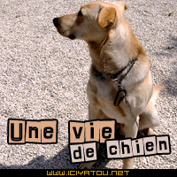 pauvre petit nous, cajolé, aimé, embrassé,papouillé, et, tous, nous devrions être ainsi... comme nous sommes heureux