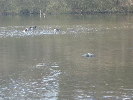 le lac houppy!!!...