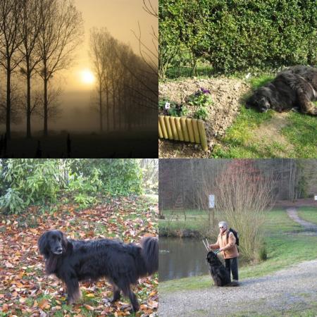 8h30 brume, 11h ouf du soleil, 14h dans le jardin, et la dernière c'est en rêve, nom d'un toutou poilu!!!..