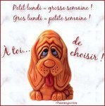 eh! eh! Mamiemyope a décidée de faire un gros lundi... hum! hum!!... & ce soir ou fin de matinée