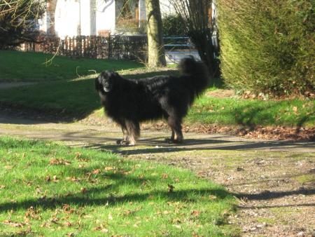 coucou à tous, il fait super beau.. Mamie est allée au jardin et y retourne cet après midi