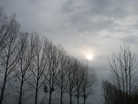  LE TEMPS...