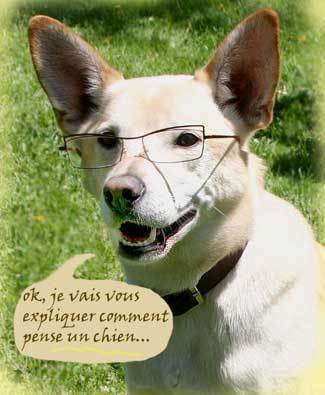 merci