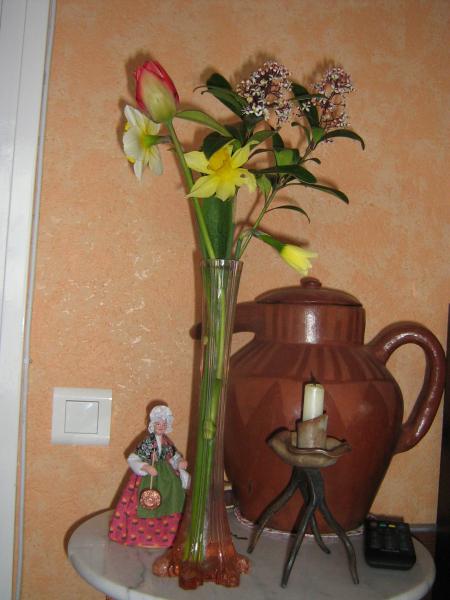 bonne fin de journée à tous, les premières fleurs du jardin. elle se sont ouvertes sous la neige..... léchettes à tous.