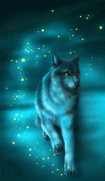 ce beau loup envoyé à Ugane par 