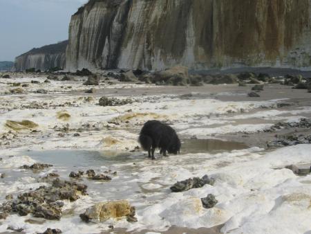 la tempête a laissé des traces sur nos falaises.