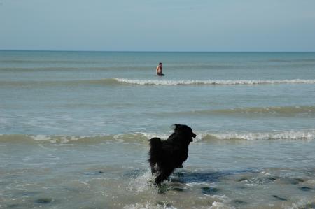 samedi dernier, là bas avec son maître un copain qui se baigne hummmm!!!. j'y vais youppi!!!