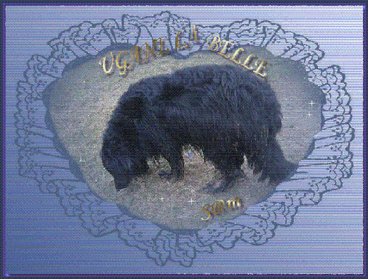 Ugane
