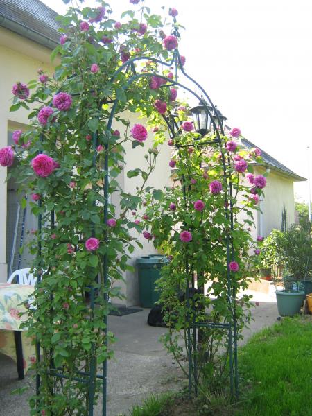 un arc de fleurs!...