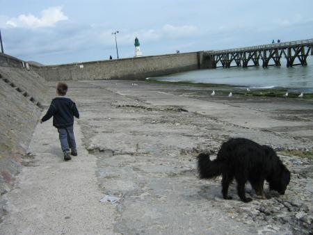 chacun de leur côté, ils explorent !...