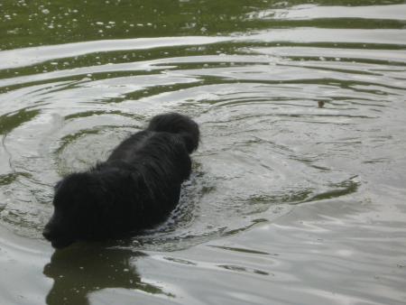 allez du vent les canards, je veux mon espace rien qu'a moi pendant 1h..... non mais!!!...
