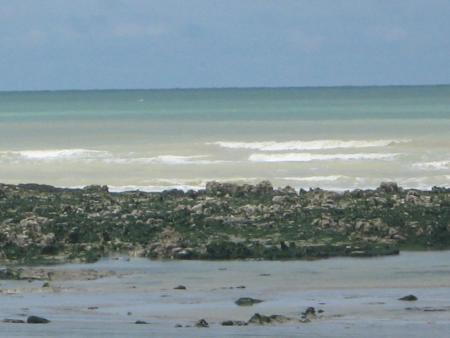 une mer banquée!..