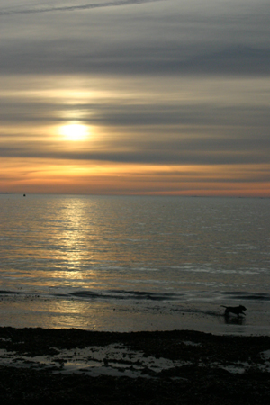 après la tempête et le chagrin, un peu de sérénité avec ce magnifique coucher de soleil sur la mer.