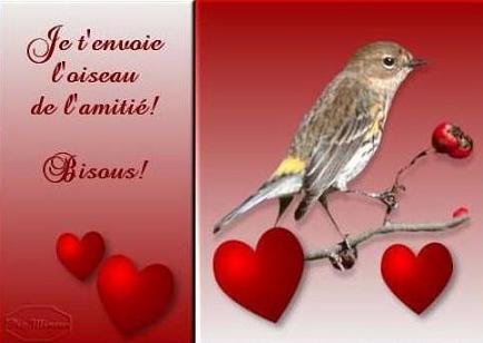 merci 