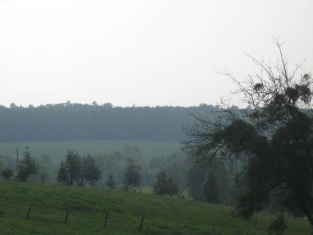 AUTOMNE..