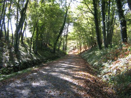 paysage d'automne