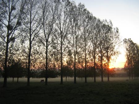 ce matin, 8h45 Mamie commence à aller mieux...