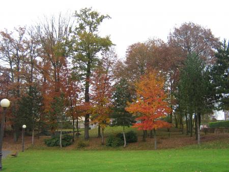 encore l'automne.