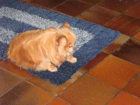En principe c'est mon tapis.. mais bon !! je te le prête parceque c'est toi...