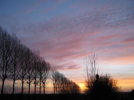 Janvier 2007