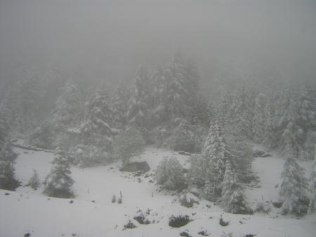 col du St Bernard   en 06.07  tempête de neige
