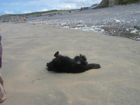 Allongée sur le sable ......