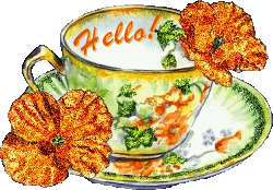 bonjour à tous..