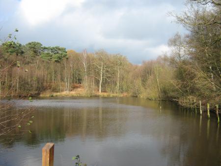 Lac  le .21.11.07... les reflets sont beaux.
