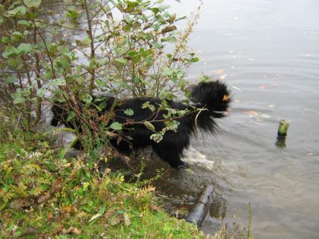 coucou je me cache....