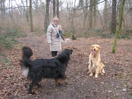 Détente dans le bois de Vincenne. 2007