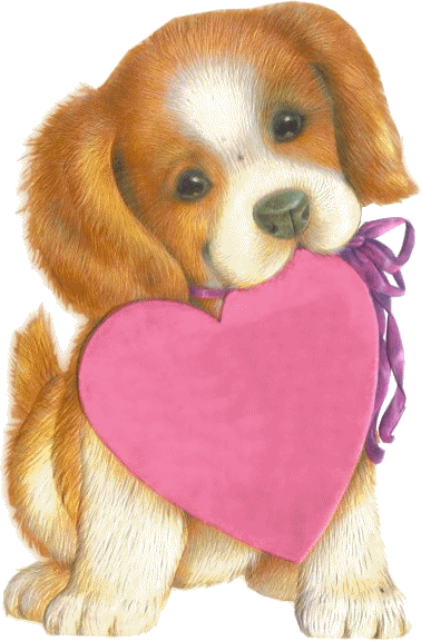 pour toi  ma petite chienne que j'aime tant.