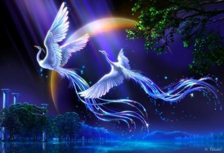 bonne soirée à tous.. et bonne nuit..