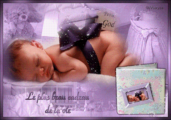 OH!!! LE PETIT CURIEUX