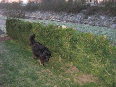 ben! quoi c'est bon pour mon teint!! une promenade dans le froid...