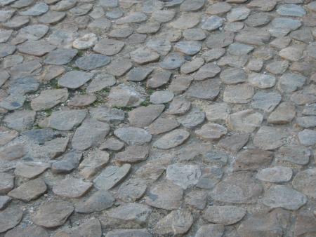 j'aime pas leurs pavets, ils font mal à mes petites pattes, et à celles de Jeanne....