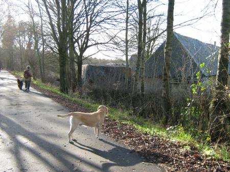 beau temps lundi , promenade,  Parker sa maîtresse et nous