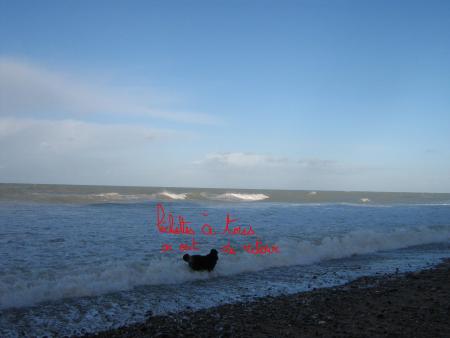 La mer se prépare à sa colère du lendemain.