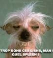 hummm! qui le veux comme amoureux,  ben! pas moi, au secour il me fait peur...