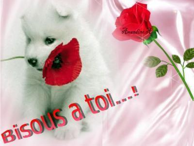 on y arrive petit à petit