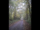 Vid�o Les d�lices de couleurs � l'automne